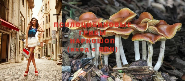 соль ск Белокуриха