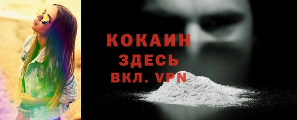 соль ск Белокуриха