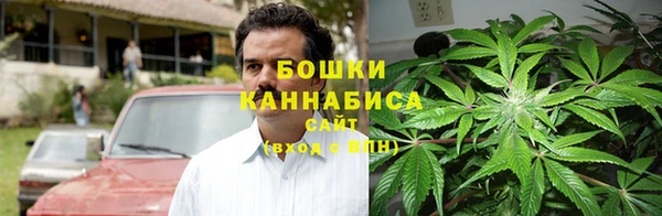 соль ск Белокуриха