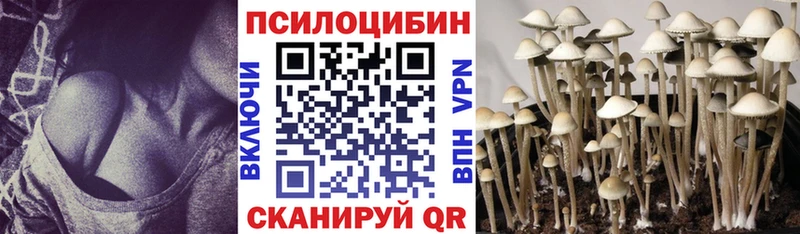 купить  сайты  Нестеровская  Галлюциногенные грибы Cubensis 